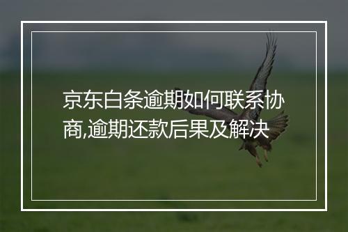 京东白条逾期如何联系协商,逾期还款后果及解决