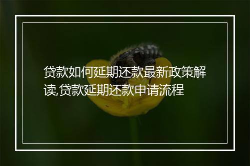 贷款如何延期还款最新政策解读,贷款延期还款申请流程