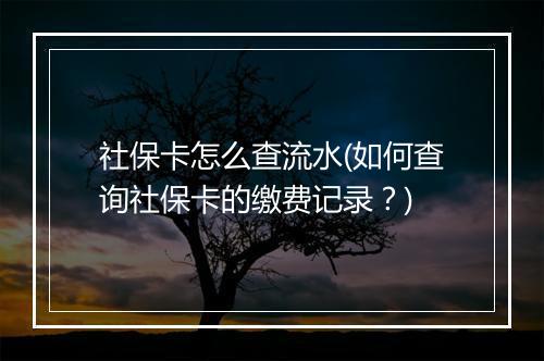 社保卡怎么查流水(如何查询社保卡的缴费记录？)