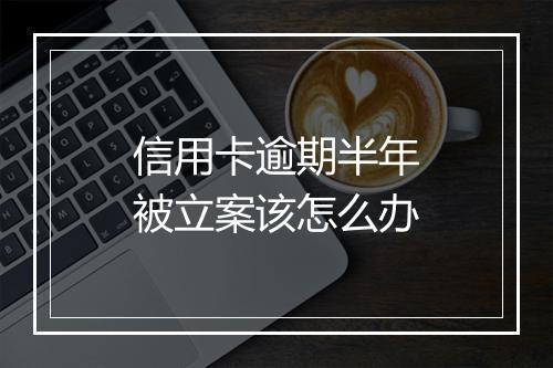 信用卡逾期半年被立案该怎么办