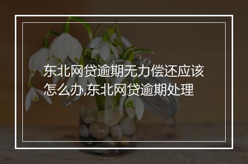 东北网贷逾期无力偿还应该怎么办,东北网贷逾期处理
