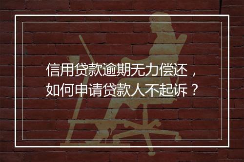 信用贷款逾期无力偿还，如何申请贷款人不起诉？