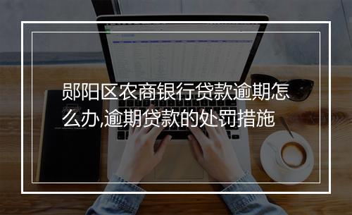 郧阳区农商银行贷款逾期怎么办,逾期贷款的处罚措施