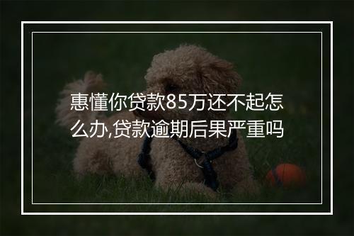惠懂你贷款85万还不起怎么办,贷款逾期后果严重吗