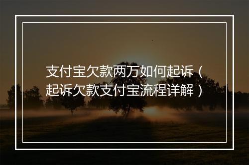 支付宝欠款两万如何起诉（起诉欠款支付宝流程详解）