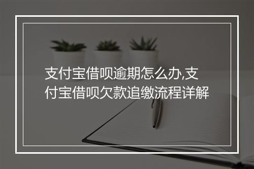 支付宝借呗逾期怎么办,支付宝借呗欠款追缴流程详解
