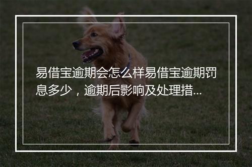 易借宝逾期会怎么样易借宝逾期罚息多少，逾期后影响及处理措施