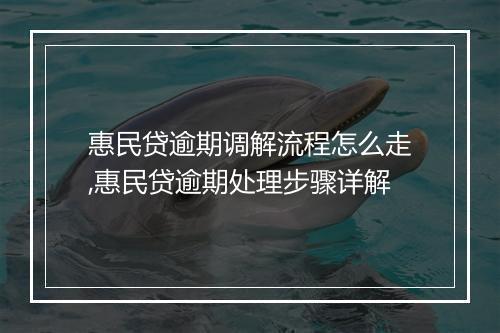 惠民贷逾期调解流程怎么走,惠民贷逾期处理步骤详解