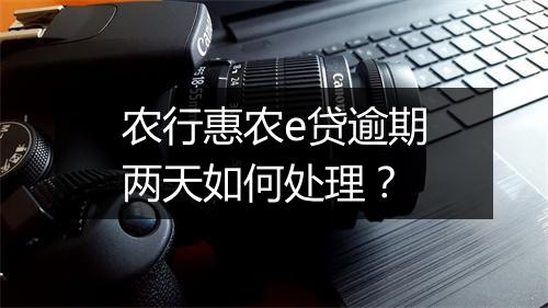 农行惠农e贷逾期两天如何处理？