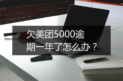 欠美团5000逾期一年了怎么办？