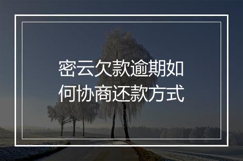 密云欠款逾期如何协商还款方式