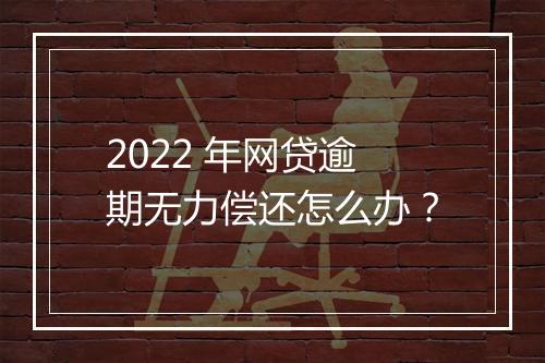 2022 年网贷逾期无力偿还怎么办？