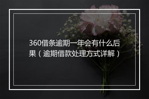 360借条逾期一年会有什么后果（逾期借款处理方式详解）