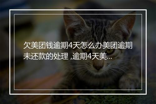 欠美团钱逾期4天怎么办美团逾期未还款的处理 ,逾期4天美团欠款怎么办