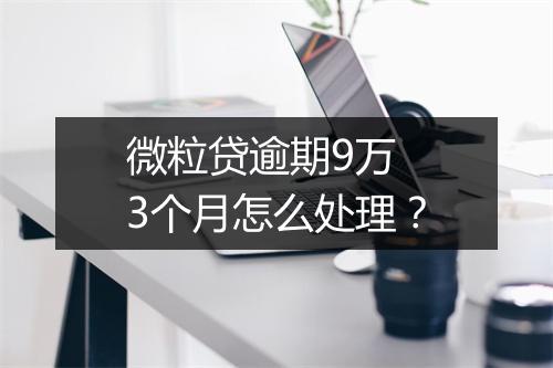 微粒贷逾期9万 3个月怎么处理？