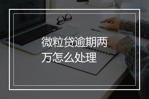 微粒贷逾期两万怎么处理