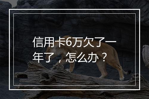 信用卡6万欠了一年了，怎么办？