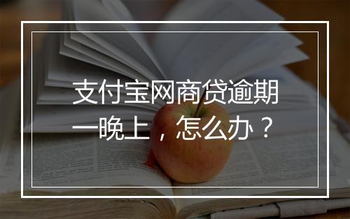支付宝网商贷逾期一晚上，怎么办？