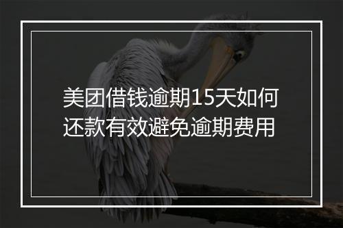美团借钱逾期15天如何还款有效避免逾期费用
