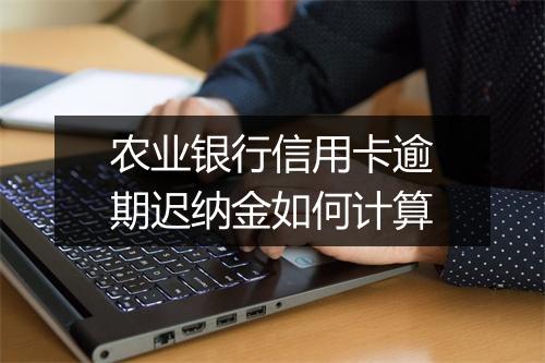 农业银行信用卡逾期迟纳金如何计算
