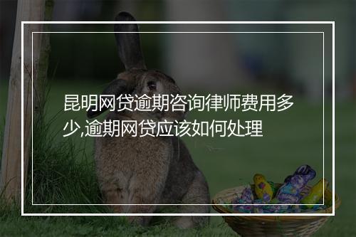 昆明网贷逾期咨询律师费用多少,逾期网贷应该如何处理