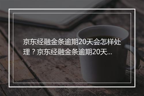 京东经融金条逾期20天会怎样处理？京东经融金条逾期20天会有什么后果？