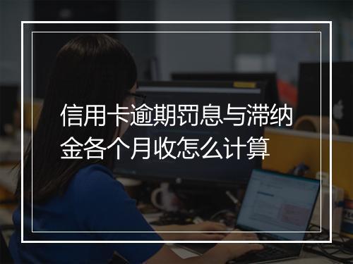 信用卡逾期罚息与滞纳金各个月收怎么计算