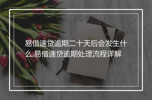易借速贷逾期二十天后会发生什么,易借速贷逾期处理流程详解