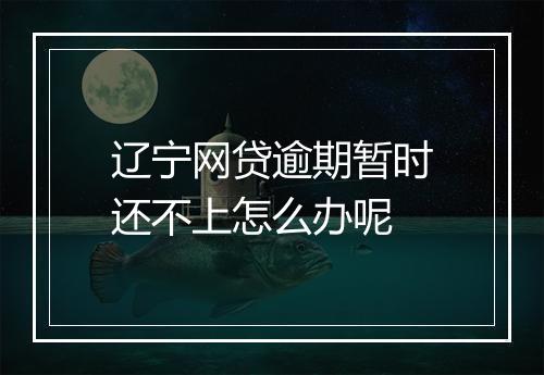 辽宁网贷逾期暂时还不上怎么办呢