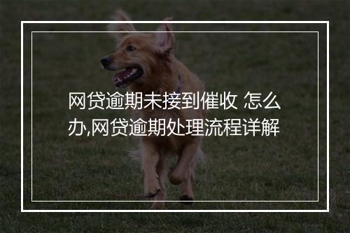 网贷逾期未接到催收 怎么办,网贷逾期处理流程详解