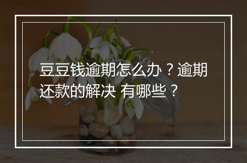 豆豆钱逾期怎么办？逾期还款的解决 有哪些？
