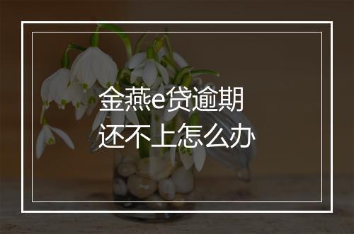 金燕e贷逾期还不上怎么办