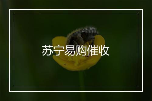 苏宁易购催收