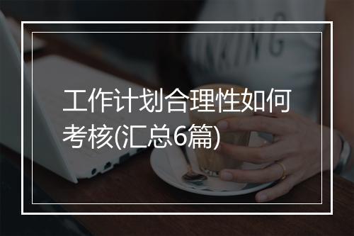 工作计划合理性如何考核(汇总6篇)