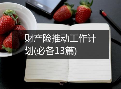 财产险推动工作计划(必备13篇)