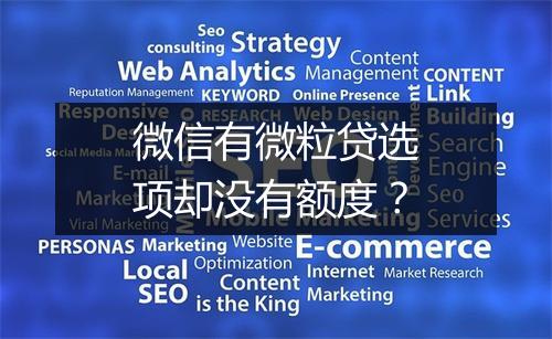 微信有微粒贷选项却没有额度？
