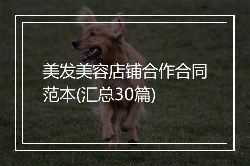 美发美容店铺合作合同范本(汇总30篇)
