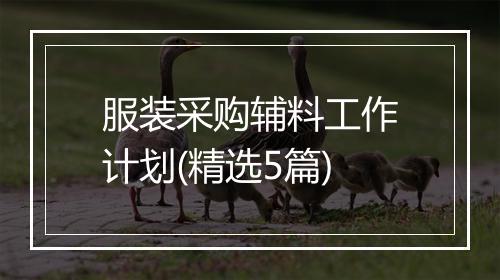 服装采购辅料工作计划(精选5篇)