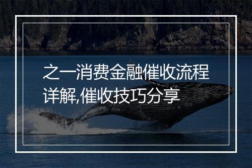 之一消费金融催收流程详解,催收技巧分享