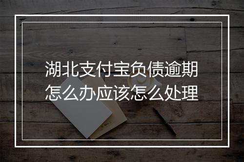 湖北支付宝负债逾期怎么办应该怎么处理