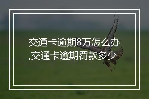 交通卡逾期8万怎么办,交通卡逾期罚款多少