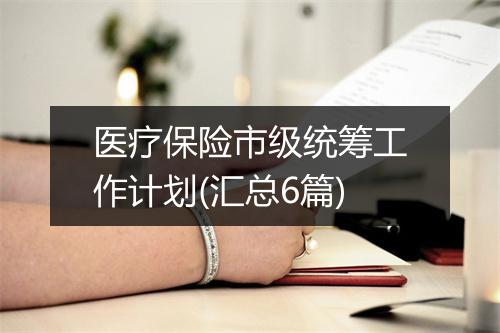 医疗保险市级统筹工作计划(汇总6篇)