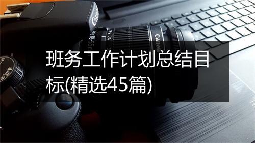 班务工作计划总结目标(精选45篇)