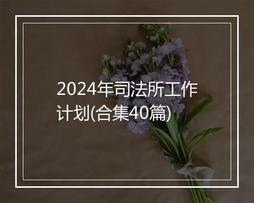 2024年司法所工作计划(合集40篇)