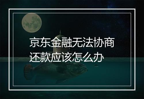 京东金融无法协商还款应该怎么办