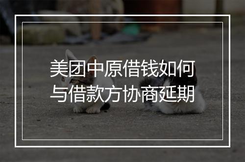 美团中原借钱如何与借款方协商延期
