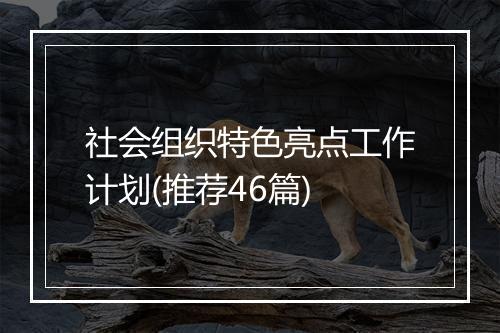 社会组织特色亮点工作计划(推荐46篇)