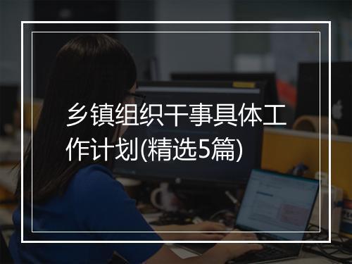 乡镇组织干事具体工作计划(精选5篇)