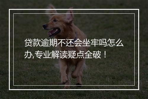贷款逾期不还会坐牢吗怎么办,专业解读疑点全破！