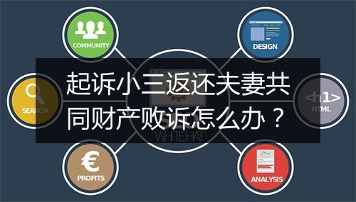 起诉小三返还夫妻共同财产败诉怎么办？